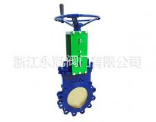 手動(dong)偏心暗杆(gan)刀閘閥PZ43H